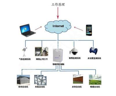 农业物联网技术引领温室农业发展